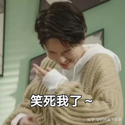 大佬们有没有诸葛大力的表情包啊
