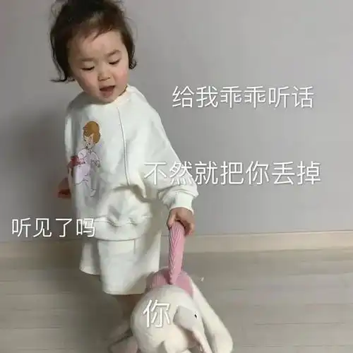 表情包给我乖乖听话,不然就把你丢掉,听见了吗
