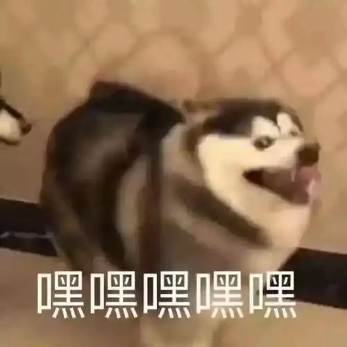 光溜溜的度过夏天,才是王道
