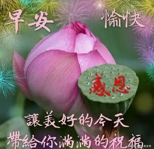 心情再差,也不要写在脸上,因为没有人喜欢看早安早上好总是常乐好心情网易订阅
