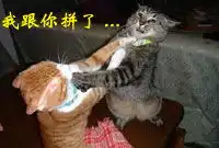 qq表情搞笑qq表情动物图片我跟你拼了

