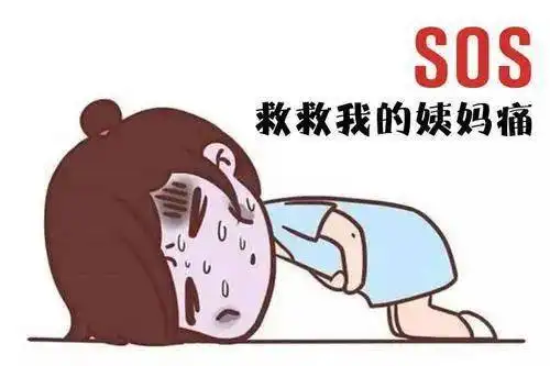 福利女神们,这里有一份专属礼,请查收
