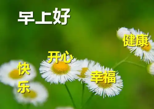 2020早上好祝福图片表情动画微信漂亮的早安图片大全
