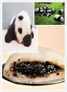 熊猫瘫
