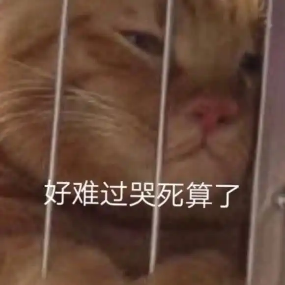 表情包堪称封神的表情包吖
