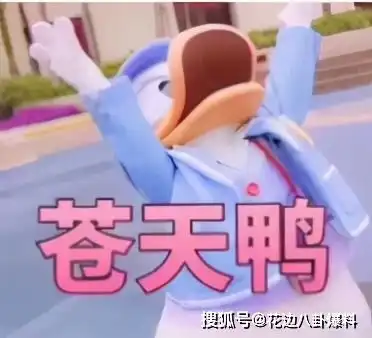 老好人的故事老好人是如何上位的老好人和莲哥的那些过往史
