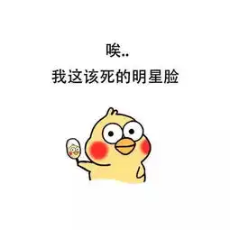 我其实长了一张明星脸
