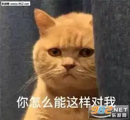 小橘猫不开心表情包暗中委屈橘猫表情包下载乐游网游戏下载
