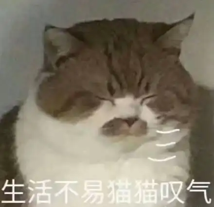 表情包生活不易,猫猫叹气
