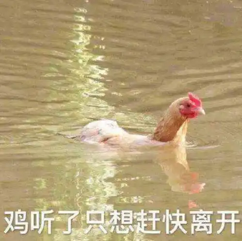 白斩鸡黄焖鸡手撕鸡叫花鸡大盘鸡盐焗鸡辣子鸡椒麻鸡.......
