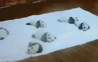 熊猫瘫完胜葛优躺软萌似芝麻汤圆
