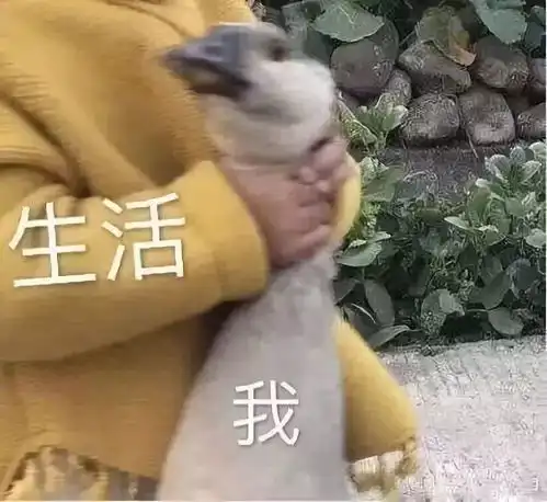 一位老母亲的2019年度总结,扎心说的是我本人没错了...
