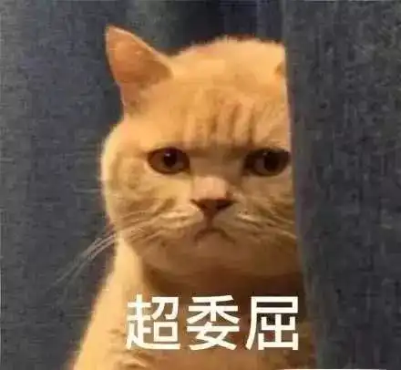 橘猫争宠想独占铲屎官的爱,醋瓶子打翻啦
