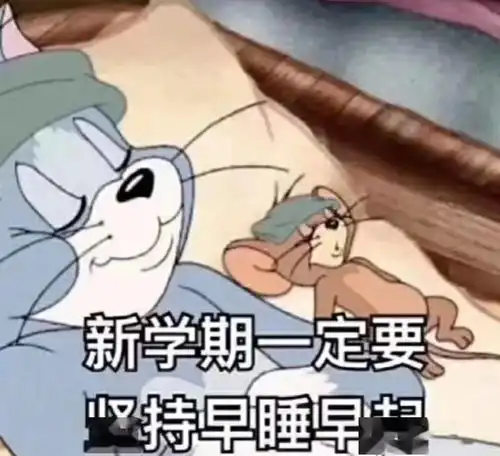 晴日持续上岗周末尽享好天气
