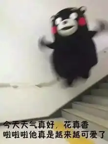 当喜欢的人不回你消息时熊本表情包收好

