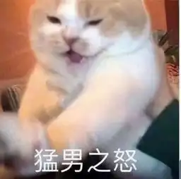 太阳系爆炸能警告,女版龙傲天
