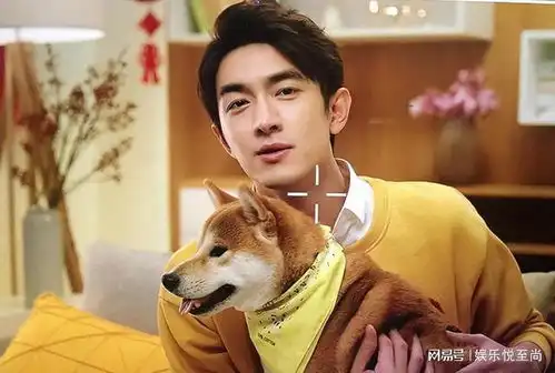 身高超185的男星,个个鹤立鸡群,这9位男星的身高太不懂事
