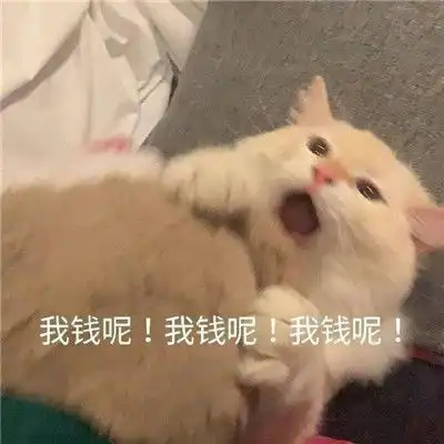 聊天沙雕聊天表情包合集
