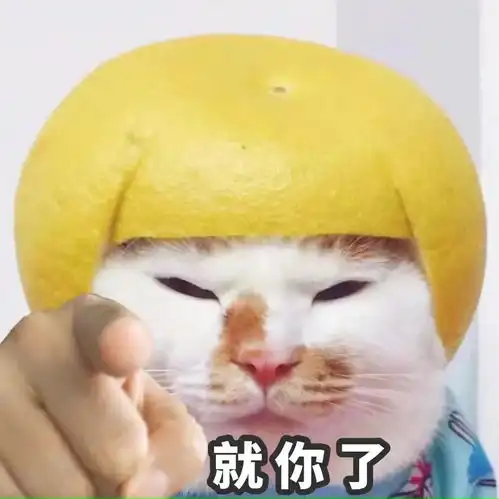 指人表情包就你了,我看好你

