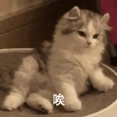 示爱表情包拿图片请给我套上,你爱情的枷锁

