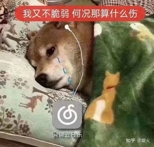 网抑云阴乐被群嘲,但我却笑不出来
