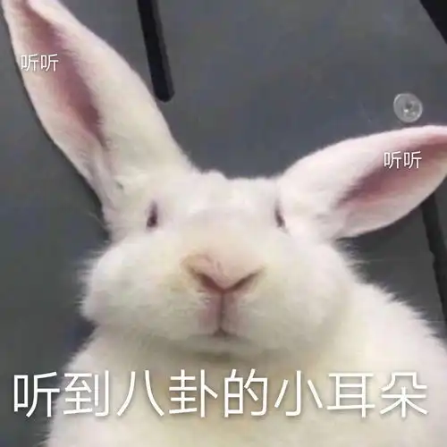 omg你们的开绘啦志愿者总结表彰大会来喽
