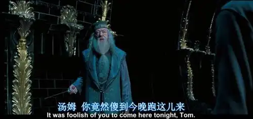 哈利波特外网哈迷对邓布利多的一些有意思的推论

