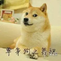 七夕单身狗表情包柴犬七夕单身狗表情包图片
