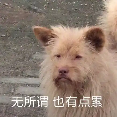 已经过去了一年了想起来还是
