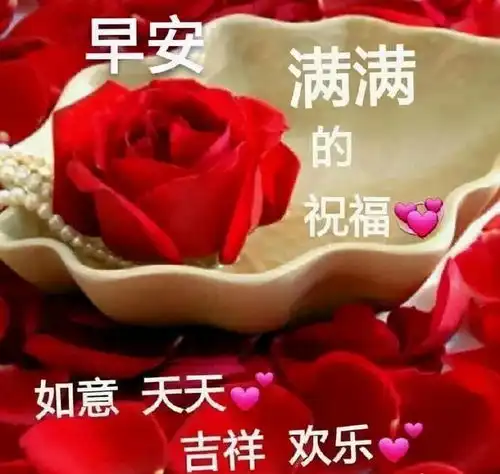 中老年表情包天使之所以会飞,因为把世界看得很轻
