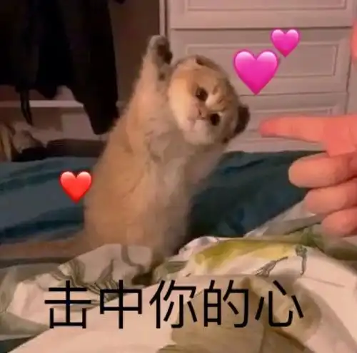 适合官宣的搞笑朋友圈文案
