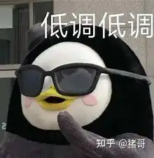 小白福音来啦壁坑小技巧高性价比流量卡套餐推荐别人没有的猪哥都有
