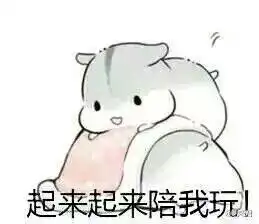 仓鼠球表情包系列夫君君堆糖,美好生活研究所

