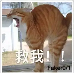 深度研究各队献祭战术
