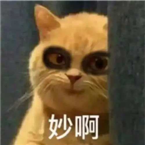 被帅哥看到我拦下废品车然后从里面拿走东西并抱回...
