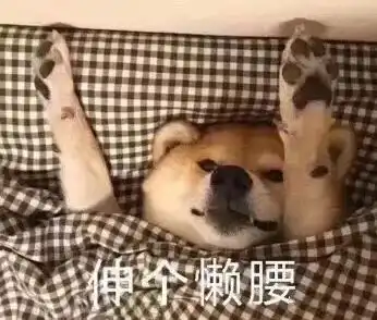 9102版寒假秘籍全公开,点开收获惊喜
