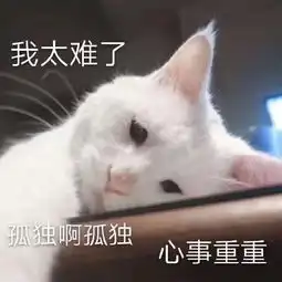 斗图表情包合集我错惹,给您跪了,原谅我,对不起
