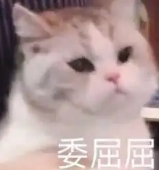 沙雕表情包l跟我处对象
