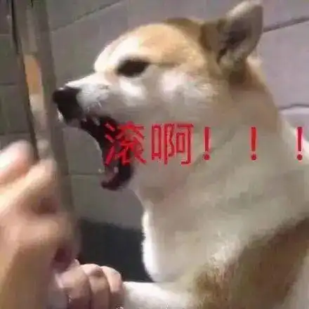 嘬表情包表情包