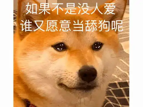 永恒之塔回忆录臣服女会长淫威下,我甘心做了三年打工人
