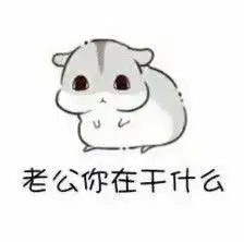 老公你在干什么表情包
