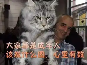 搜狐公众平台表情包除了能斗图教做人,还是一个前景辽阔的掘金库
