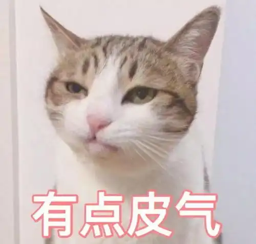穿假货密会3小时恋情曝光鹿晗关晓彤当年都没这么高调
