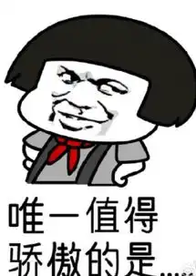 我本是表情包
