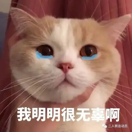 今晚1830名师高徒继续热播,选手要小心,佟老师套路深
