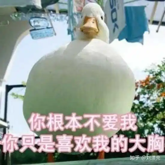 胸部类型分析,你真的了解你的胸吗
