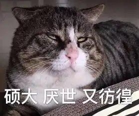 这些很火很萌的表情包,你还没有吧

