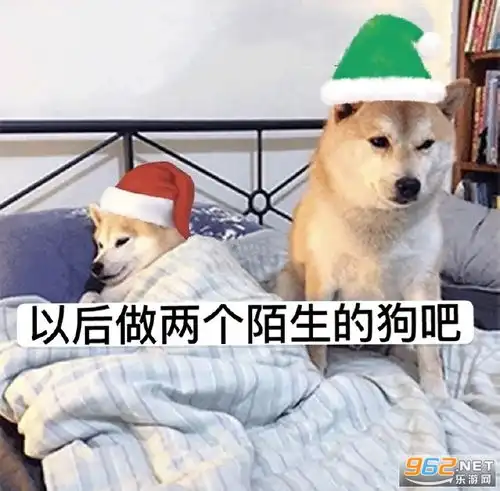令人窒息奥特曼表情包你又怎么会懂小猫咪的孤独表情包下载乐游网游戏下载
