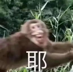 新一轮表情包文化来袭,你还在用那些out的表情包
