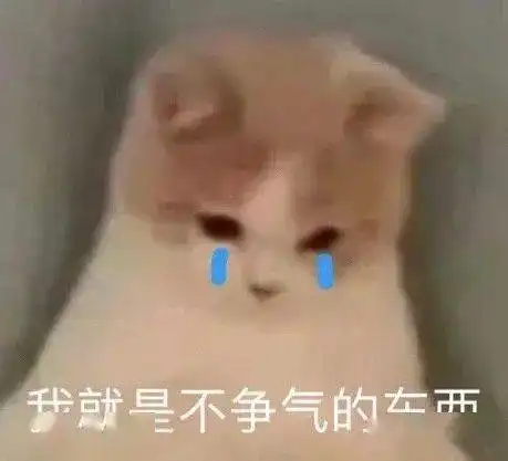 今日表情包,1124
